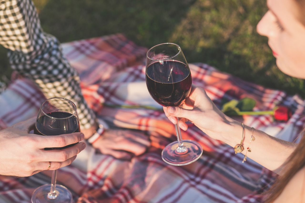 piknik s vínem